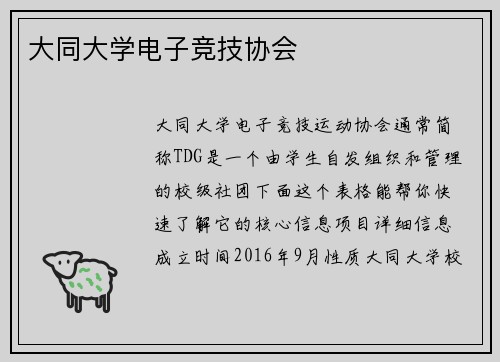 大同大学电子竞技协会